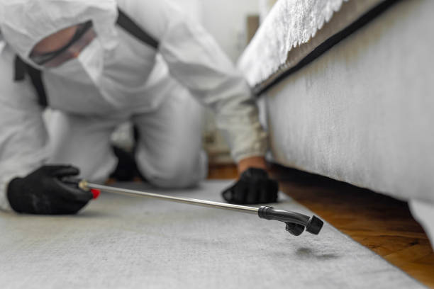 Professional Termite Control technician working in Scenic, AZ