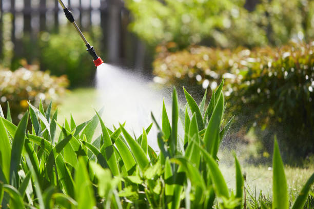 24/7 Emergency Termite Control experts in Scenic, AZ